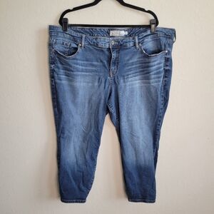 Torrid Skinny Jean- Size 24 Short